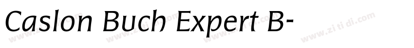Caslon Buch Expert B字体转换